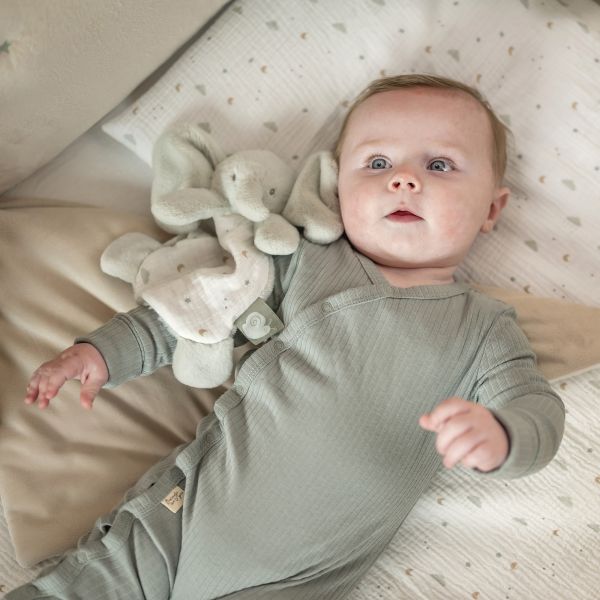 Mini doudou Loulou elephant vert tilleul