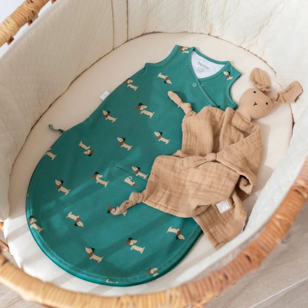 Gigoteuse Magic Bag été 1-4 mois Wouff spinach