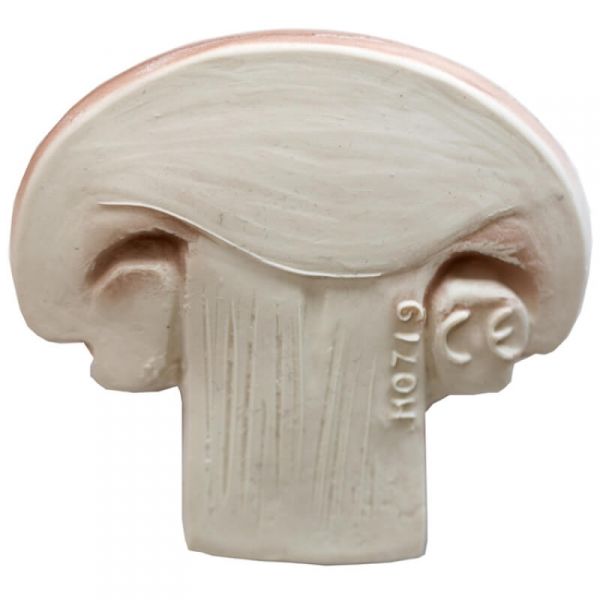 Anneau de dentition Jouet de bain Champignon Manolo