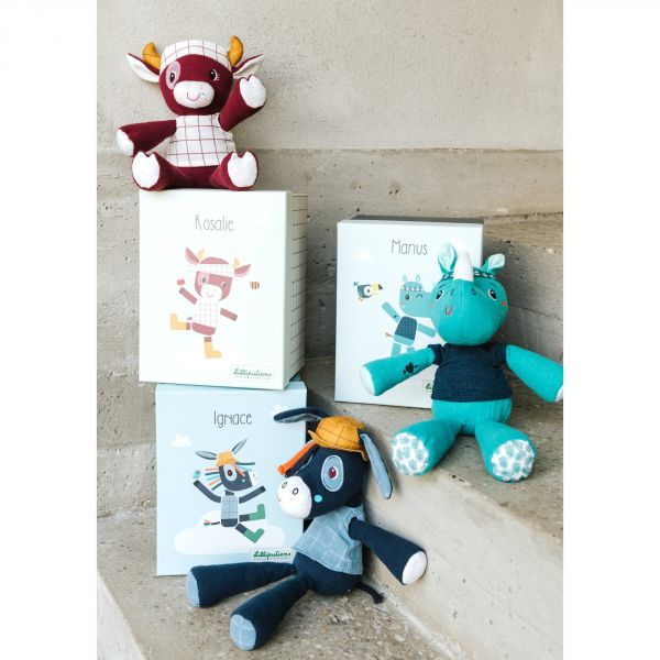 Coffret peluche câline Marius costo