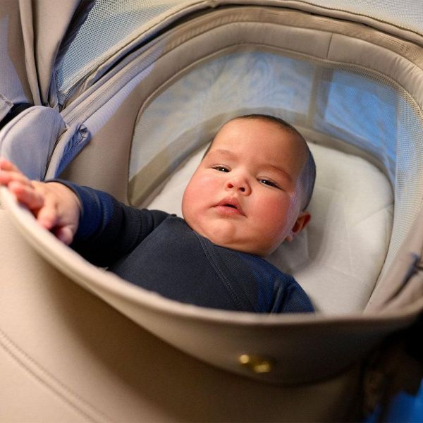 Poussette Fame Cabin oak Truffle