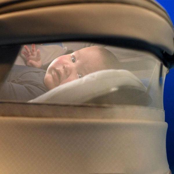 Poussette Fame Cabin oak Truffle