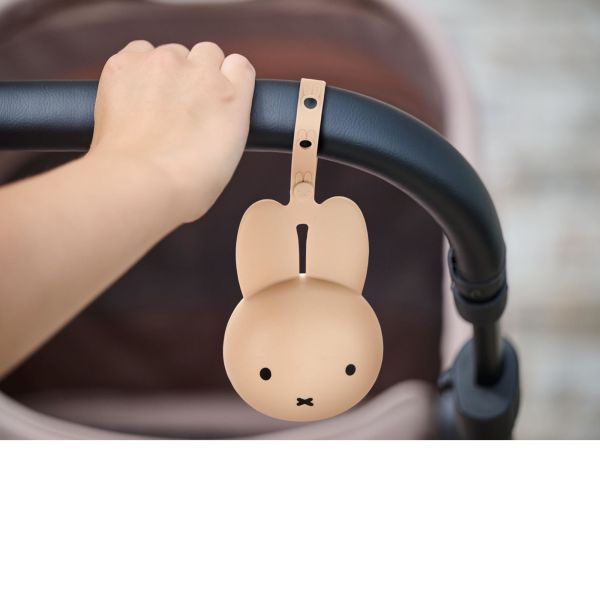 Boite à sucettes silicone