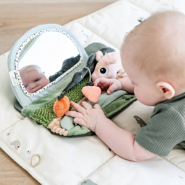 Miroir d'éveil Tummy time Tiny farm