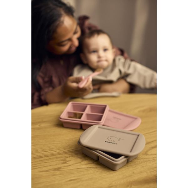 Lot de 2 Moules de conservation Rose Mix