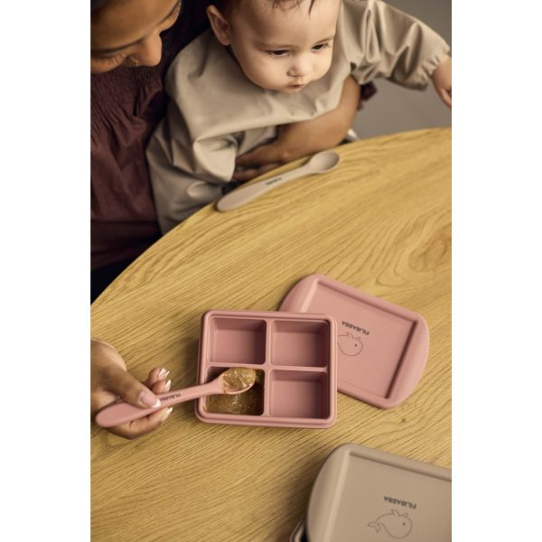 Lot de 2 Moules de conservation Rose Mix