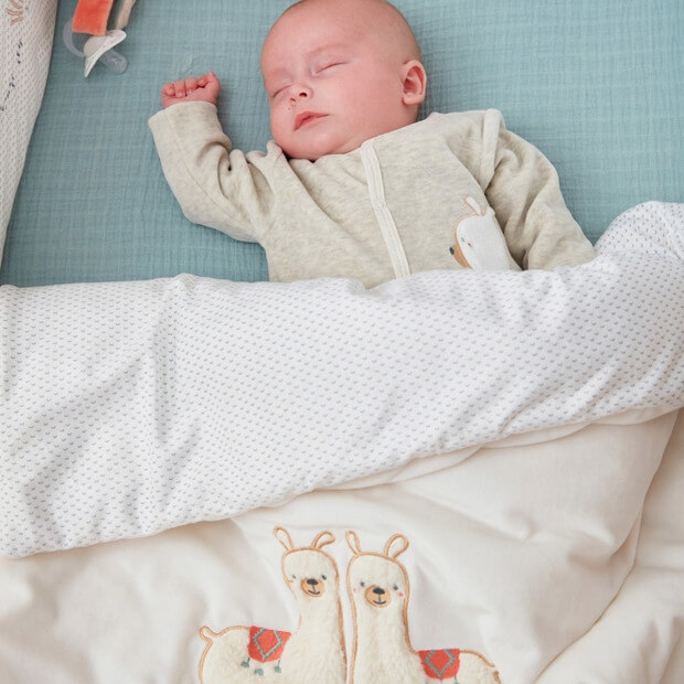 Noukie S Couverture Veloudoux 75 X 100 Cm Moris Sacha Beige Made In Bebe
