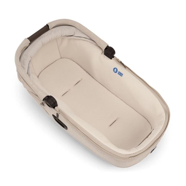 Nacelle CARI Next Biscotti