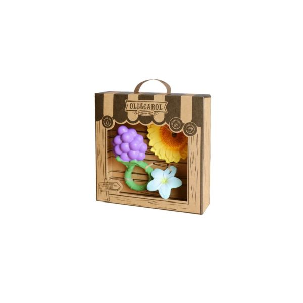Coffret de Naissance – Hochet Bébé en Forme de Raisin