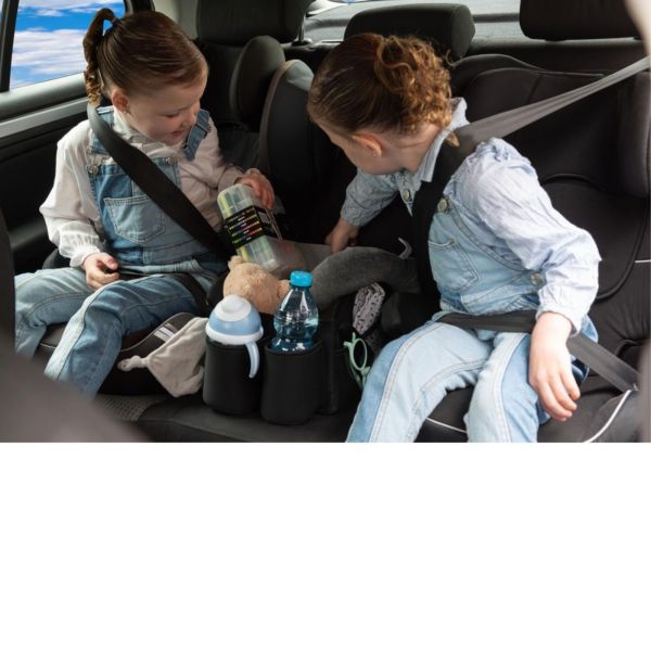 Organisateur de voiture pour banquette arrière