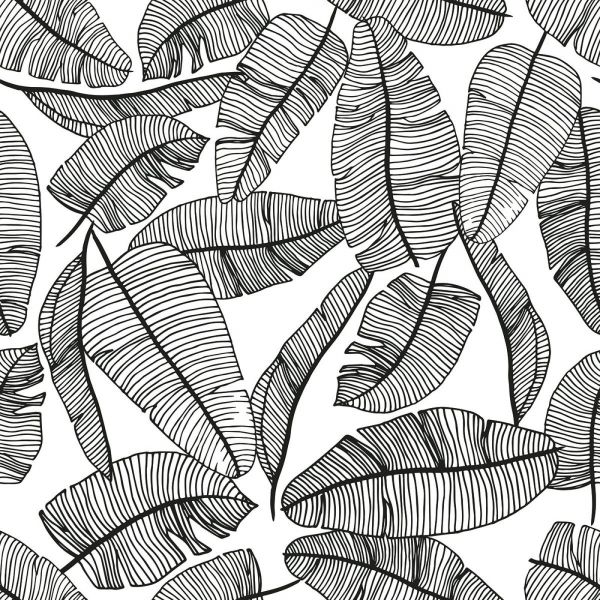 Papier peint  Serengeti /  Motif feuilles tropicales (50cm x 10m)