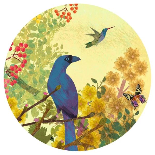 Puzzle 1000 pièces peaceful birds gallery