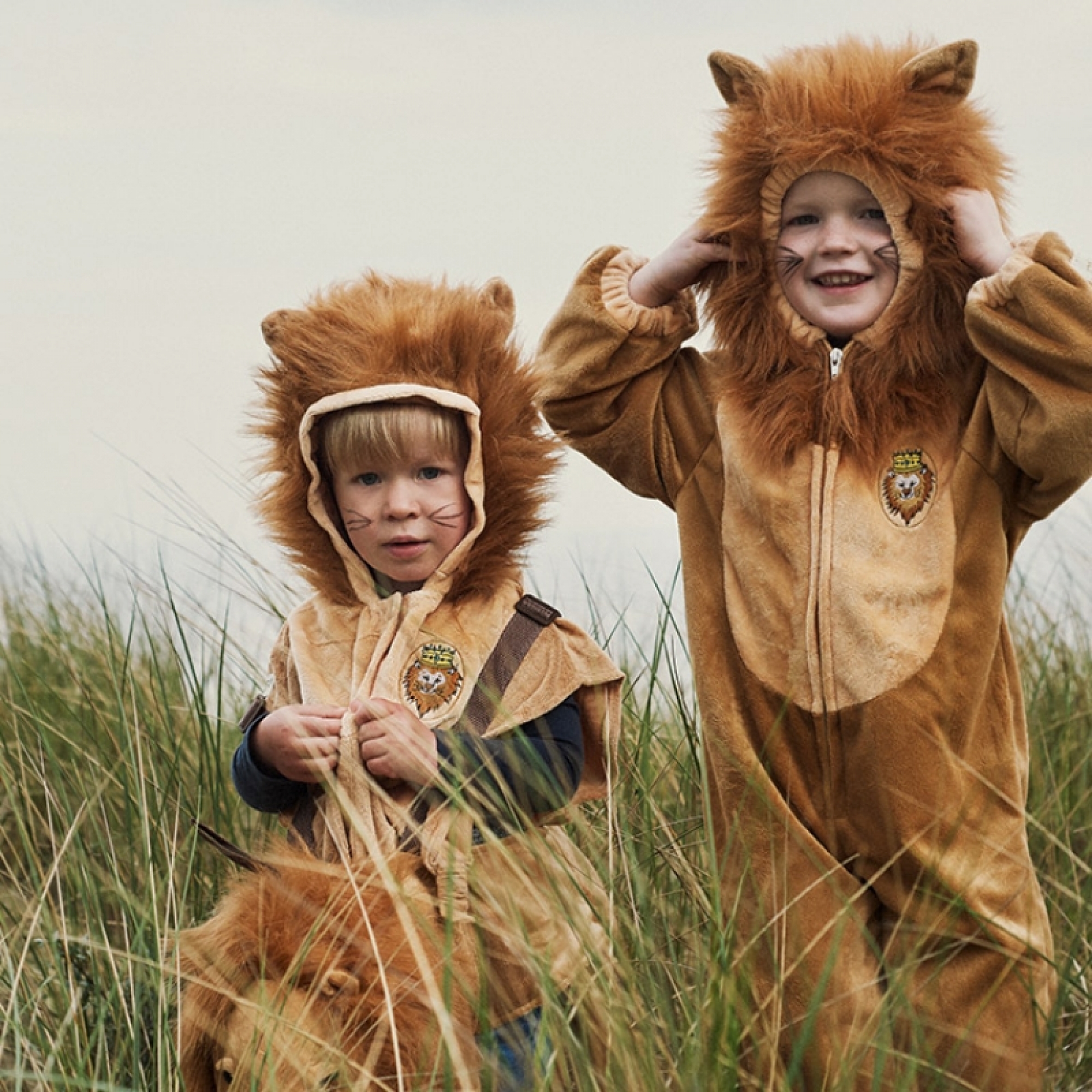 Deguisement cape petit lion 2/3 ans.