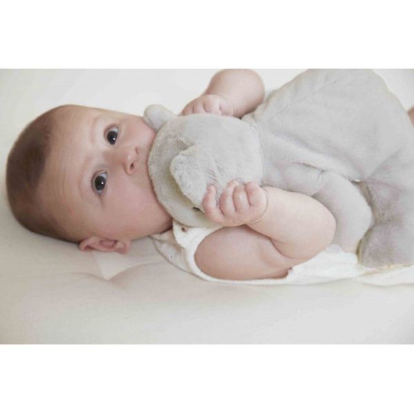 Peluche lestée Koala