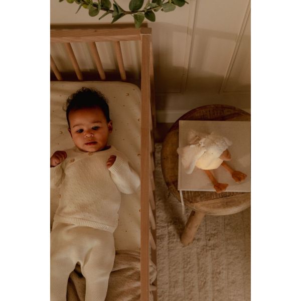 Peluche musicale et lumineuse Oie - Newborn