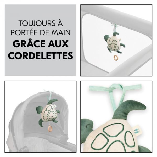 Peluche musicale tortue