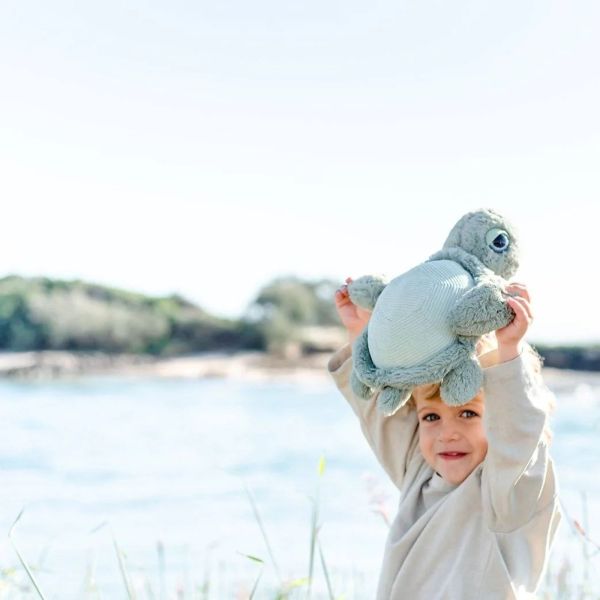 Petite Peluche ultra douce tortue 25 cm - Sauge
