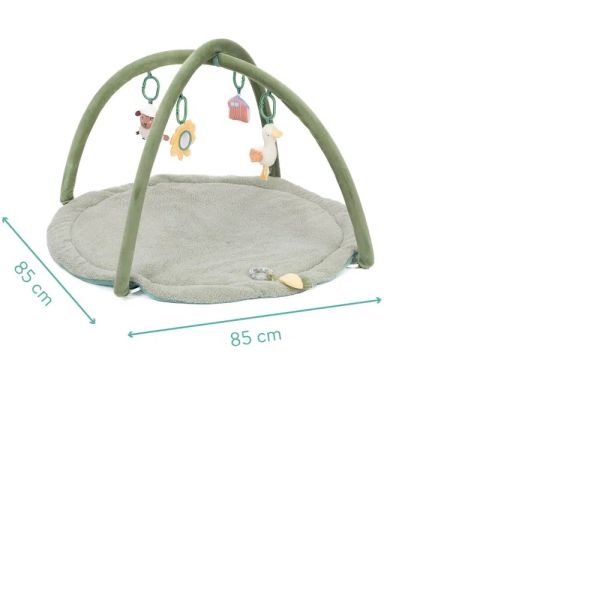 Arche de jeu Sauge
