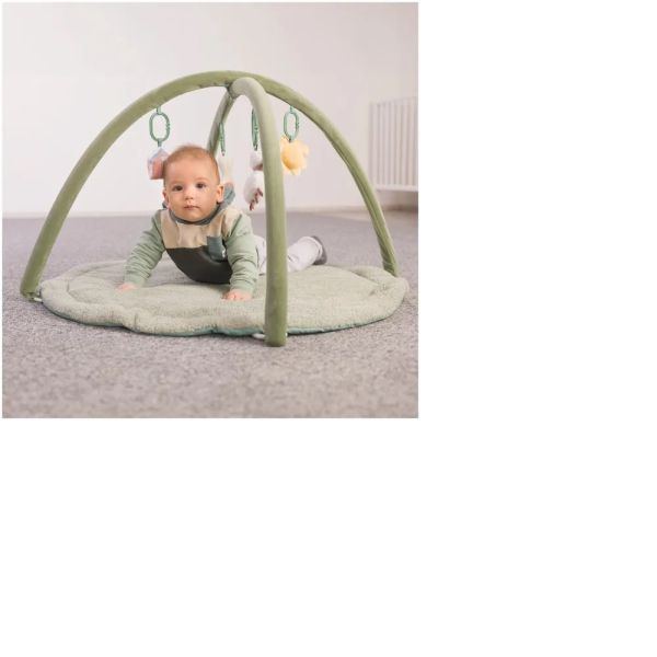 Arche de jeu Sauge