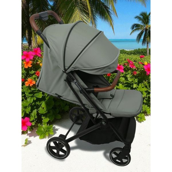 Poussette Screen Iguana