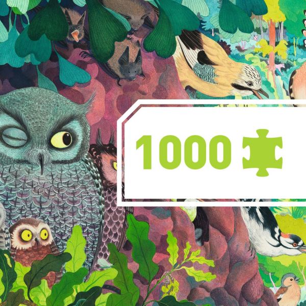 Puzzle 1000 pièces Owls and birds Gallery