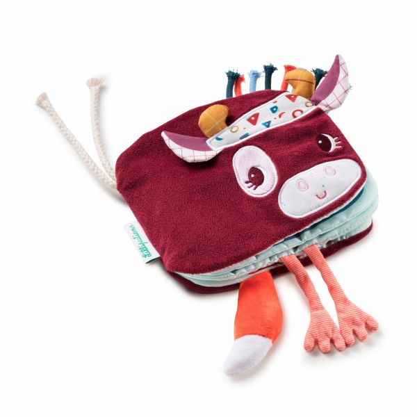 Livre de naissance bebe fille, jouets 1er age