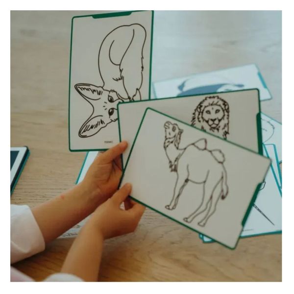Cartes pour tablette Kidydraw - Mini animaux et pirates