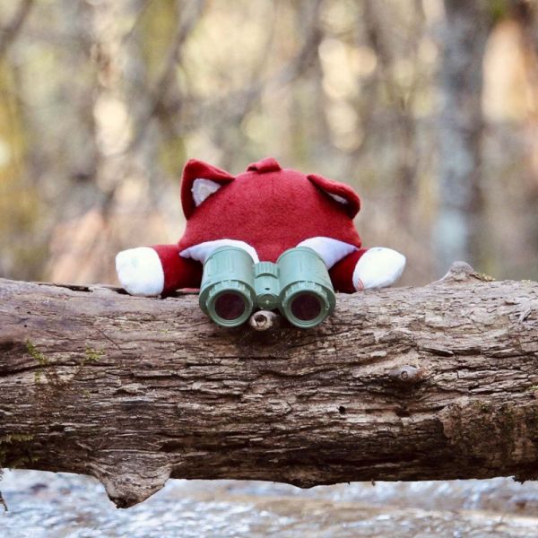 Peluche musicale Renard - Cache cache en forêt