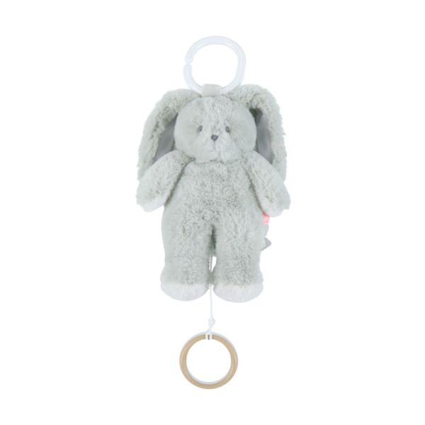 Peluche mini-musicale 20cm - Verdi