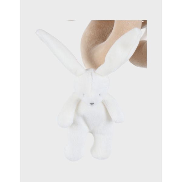 Spirale d'activités - Verdi