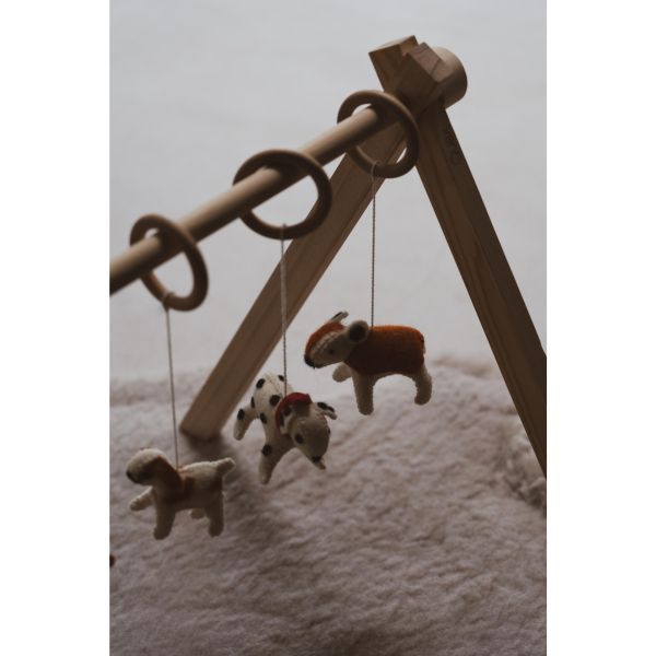 Coffret jouets d'activités - 5 pièces Chiens