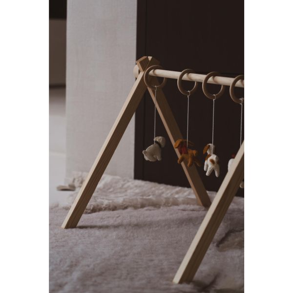 Coffret jouets d'activités - 5 pièces Chiens