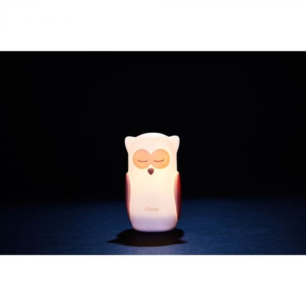 Veilleuse chouette à induction