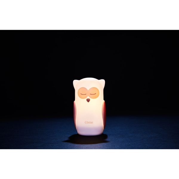 Veilleuse chouette à induction