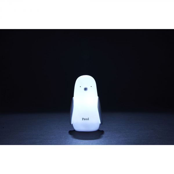 Veilleuse pingouin à induction