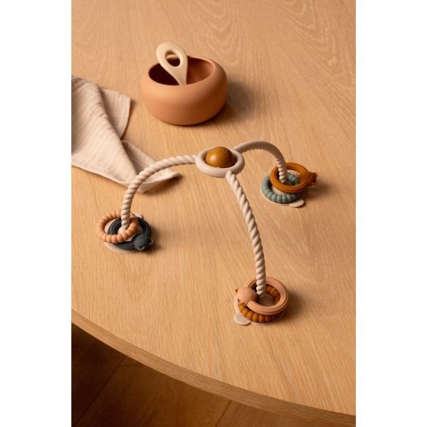 Jouet de dentition bébé ventouse Soren Sandy Multi Mix