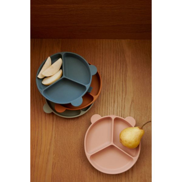 Lot de 2 assiettes compartimentées Stacy Mustard Tuscany Rose mix