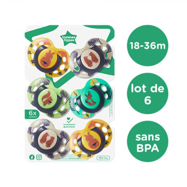 Lot de 6 Sucettes Closer to Nature Fun 18-36 mois Fille aléatoire