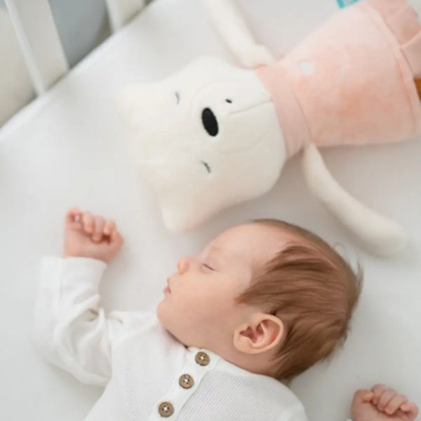 Peluche ourson Suzy