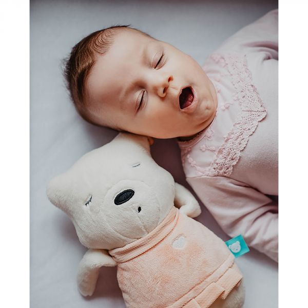 Peluche ourson premium Suzy