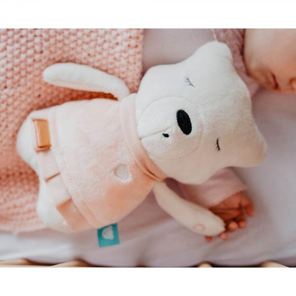 Peluche ourson premium Suzy