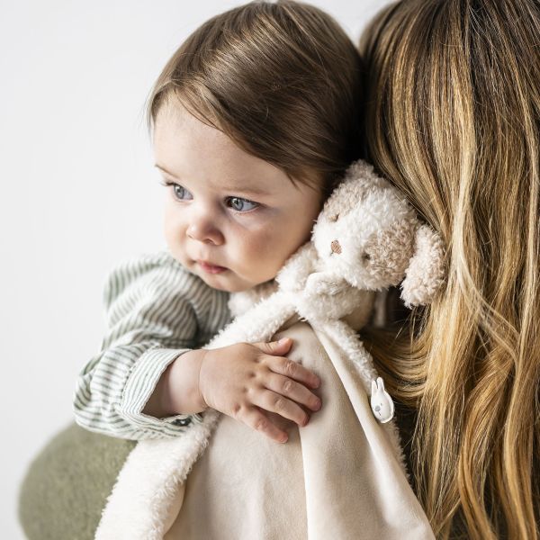 Doudou câlin chien Teddy bouclette écru