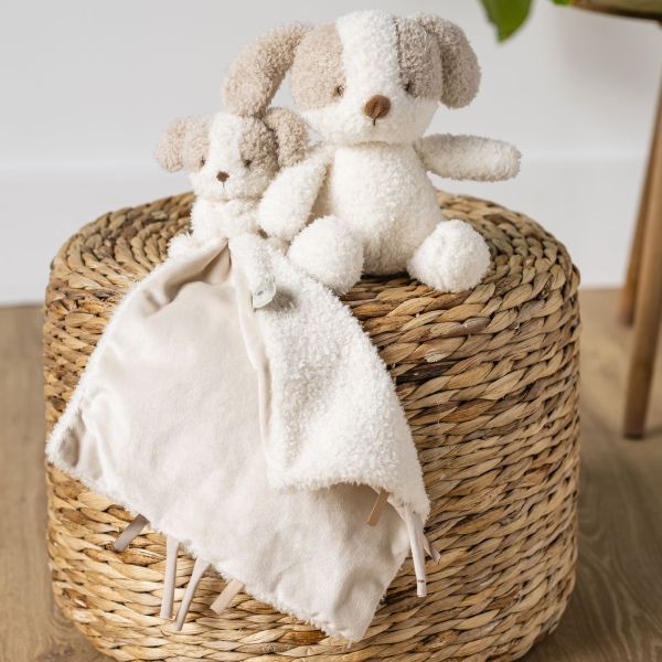 Doudou câlin chien Teddy bouclette écru