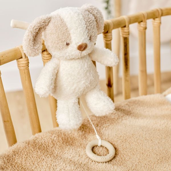 Peluche musical Teddy Bouclette chien écru