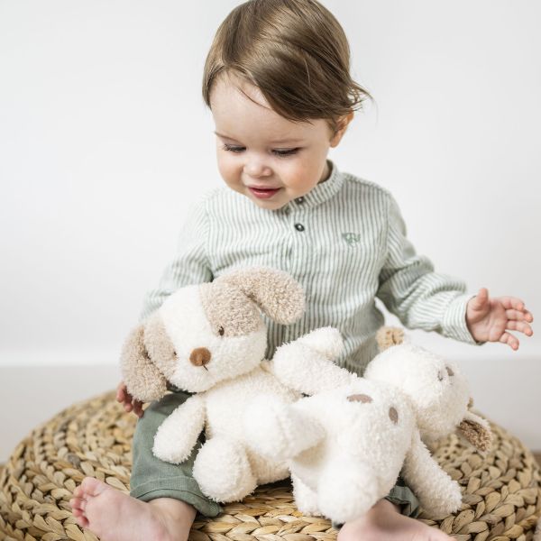 Peluche chien Teddy Bouclette 24cm Ecru