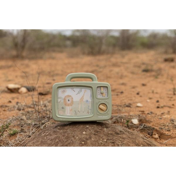 Télévision musicale - Safari Friends