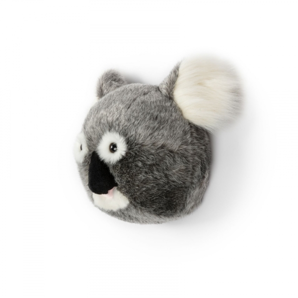 Trophée peluche Koala Noah