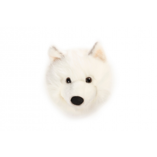 Trophée peluche Loup blanc Lucy