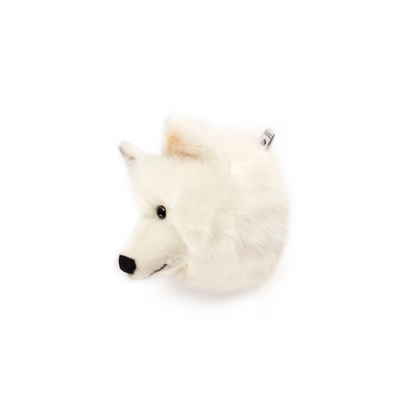 Trophée peluche Loup blanc Lucy