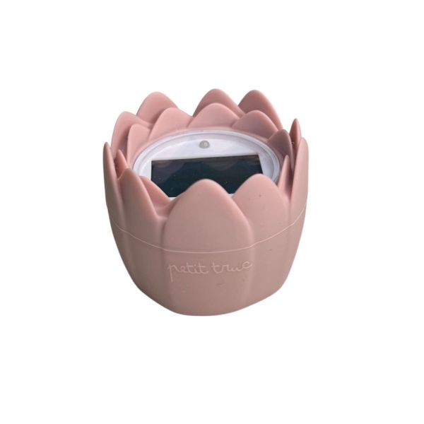 Thermomètre de bain numérique Litchi